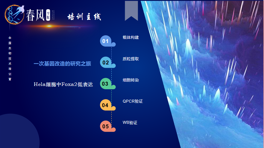 【春風(fēng)學(xué)院】2023年全國(guó)生物醫(yī)學(xué)分子細(xì)胞實(shí)驗(yàn)技術(shù)特訓(xùn)營(yíng)開(kāi)班！為期5天