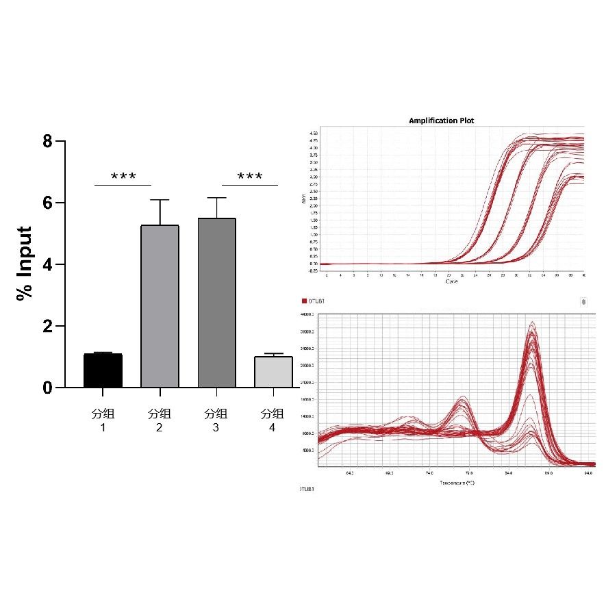 QPCR 檢測(cè)