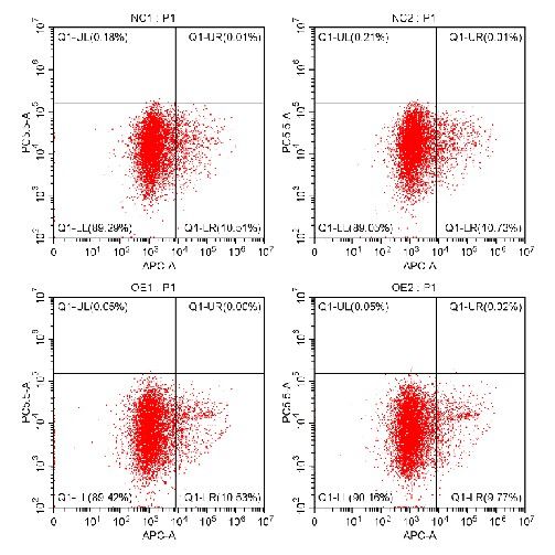 流式凋亡檢測(cè)