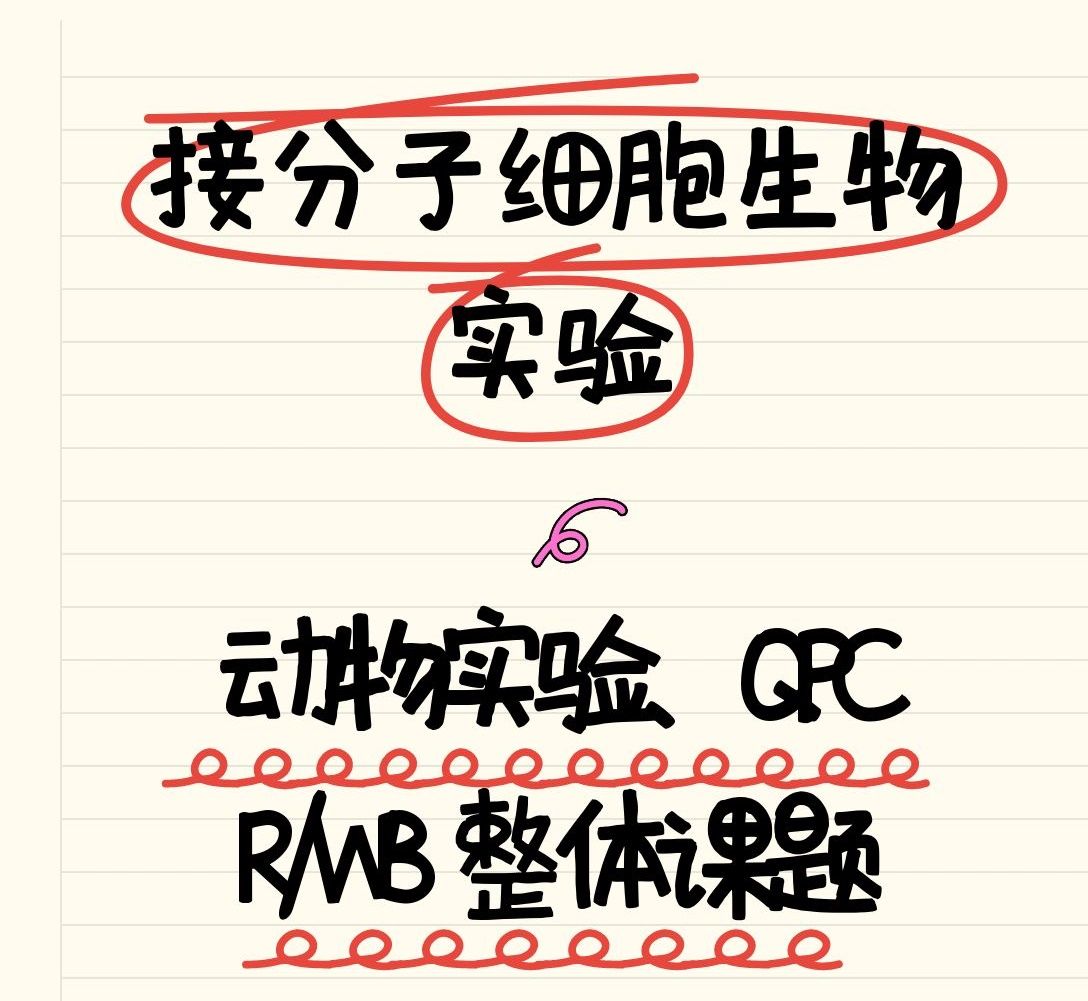 科研外包“避雷”——博士師姐親授