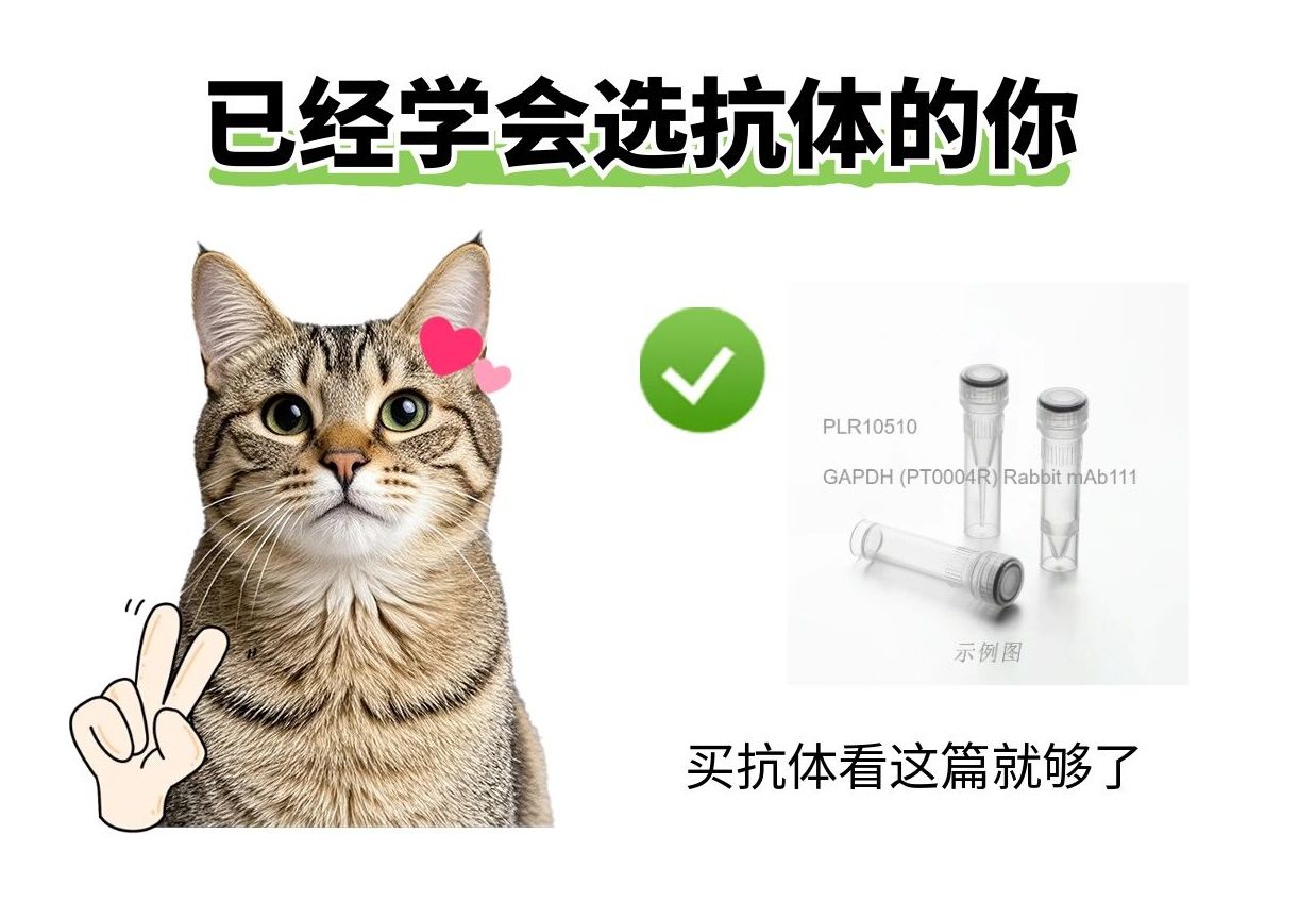 2025年了，我不允許還有人不知道抗體選哪家！