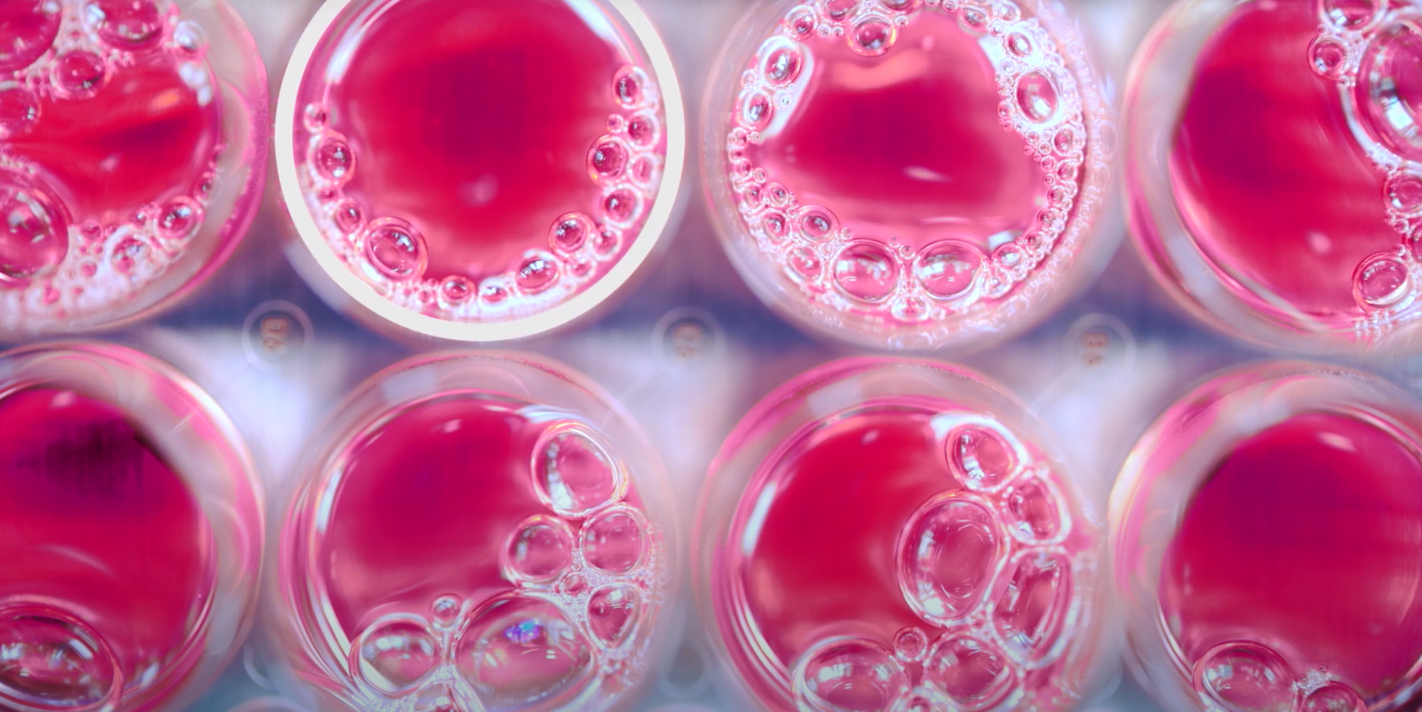 吹打細胞弄出一堆泡泡，怎么破？【細胞實驗外包】