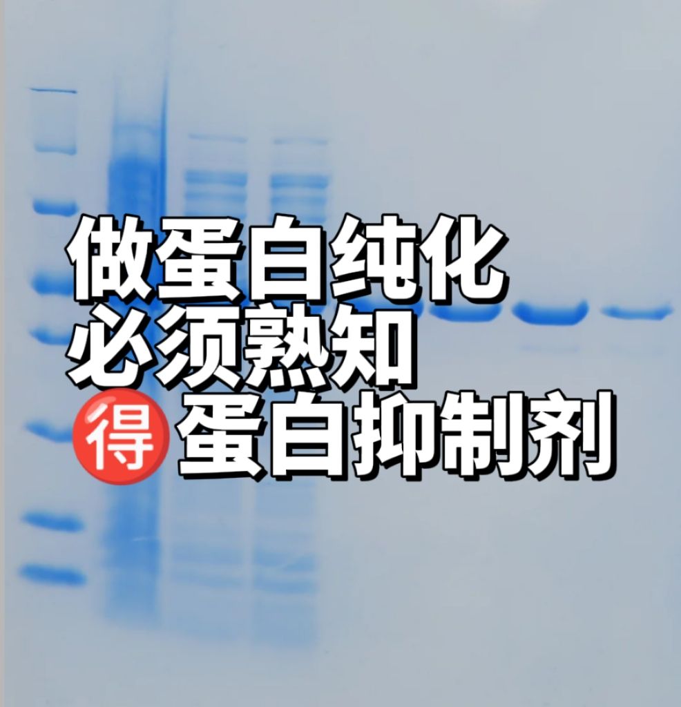 做蛋白純化，必須要熟知的一些蛋白酶抑制劑