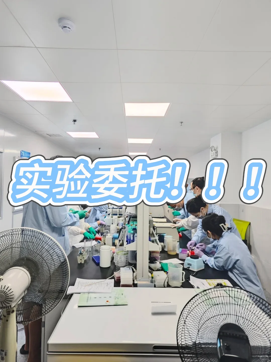 噗啦噗啦實(shí)驗(yàn)室實(shí)驗(yàn)外包服務(wù)