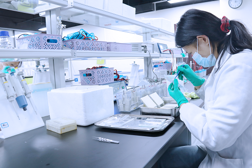 wb檢測(cè) 實(shí)驗(yàn)操作