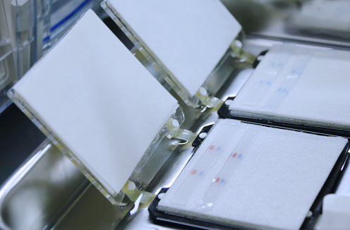 wb檢測(cè) 轉(zhuǎn)膜