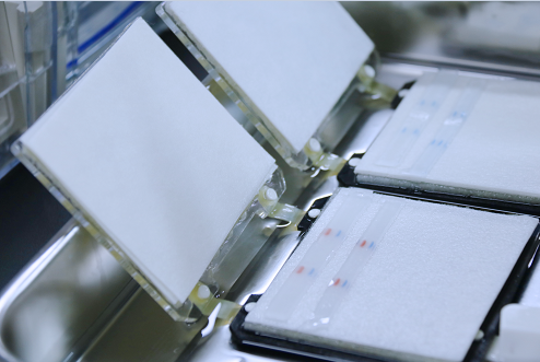 WB檢測常見問題與解決方法