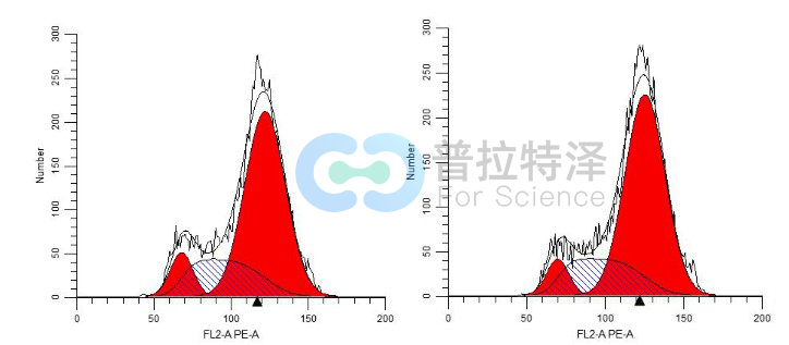 流式檢測(cè)細(xì)胞周期