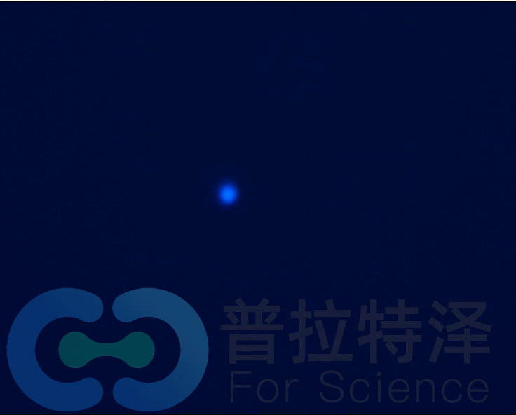 彗星實驗結(jié)果