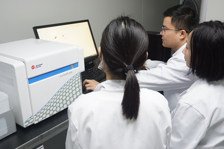 流式檢測細胞周期