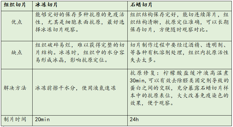 冰凍切片與石蠟切片的優(yōu)缺點(diǎn)