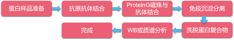 1594276425361331.png CO-IP實(shí)驗(yàn)流程圖.png