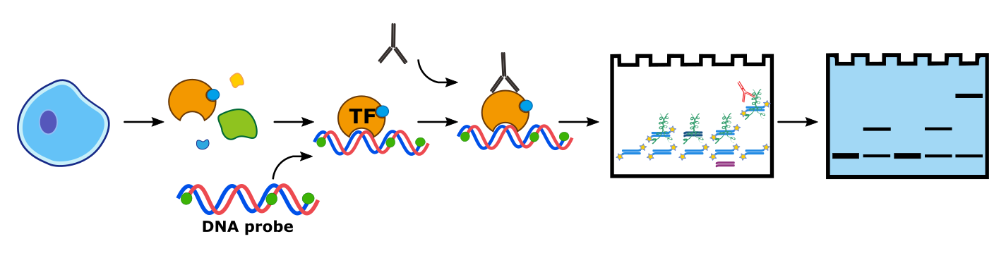 1595229721853320.png 1595229721853320.png